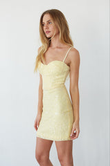 Ellison Sequin Bodycon Mini Dress