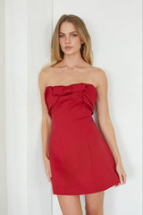 Sarah Bow and Pleat Mini Dress